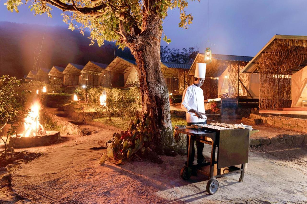 Luxury tent Wild Glamping Knuckles - Thema Collection