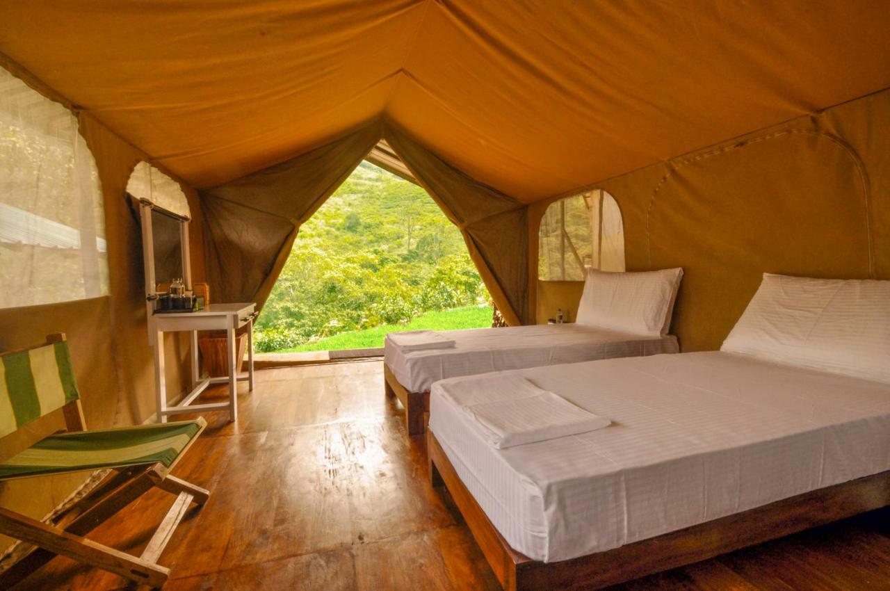 Wild Glamping Knuckles - Thema Collection 3*