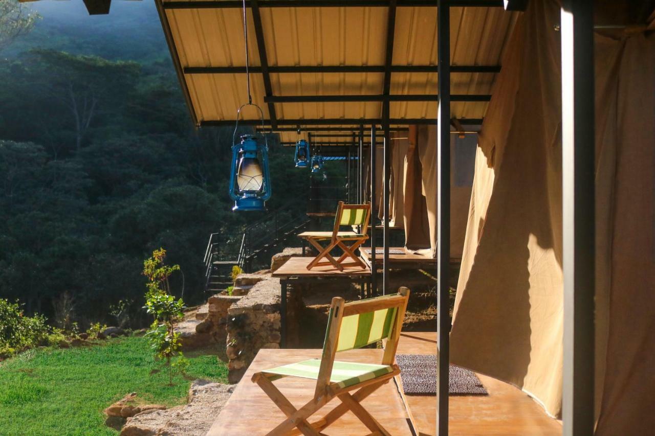 Wild Glamping Knuckles - Thema Collection Rangala