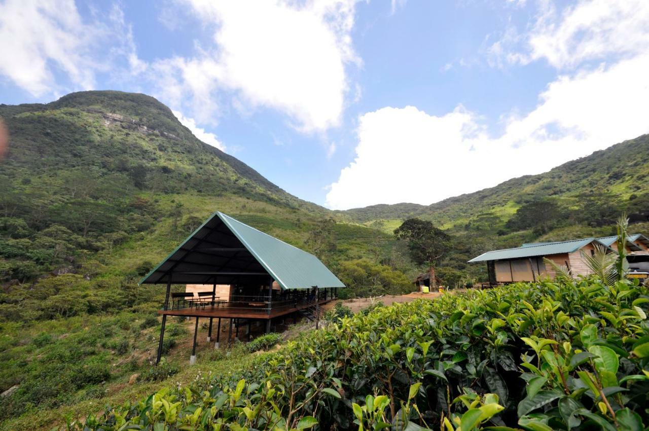 Wild Glamping Knuckles - Thema Collection Luxury tent 3*