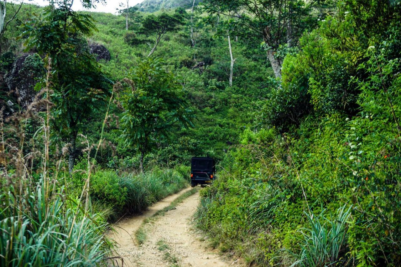 Wild Glamping Knuckles - Thema Collection Luxury tent 3*